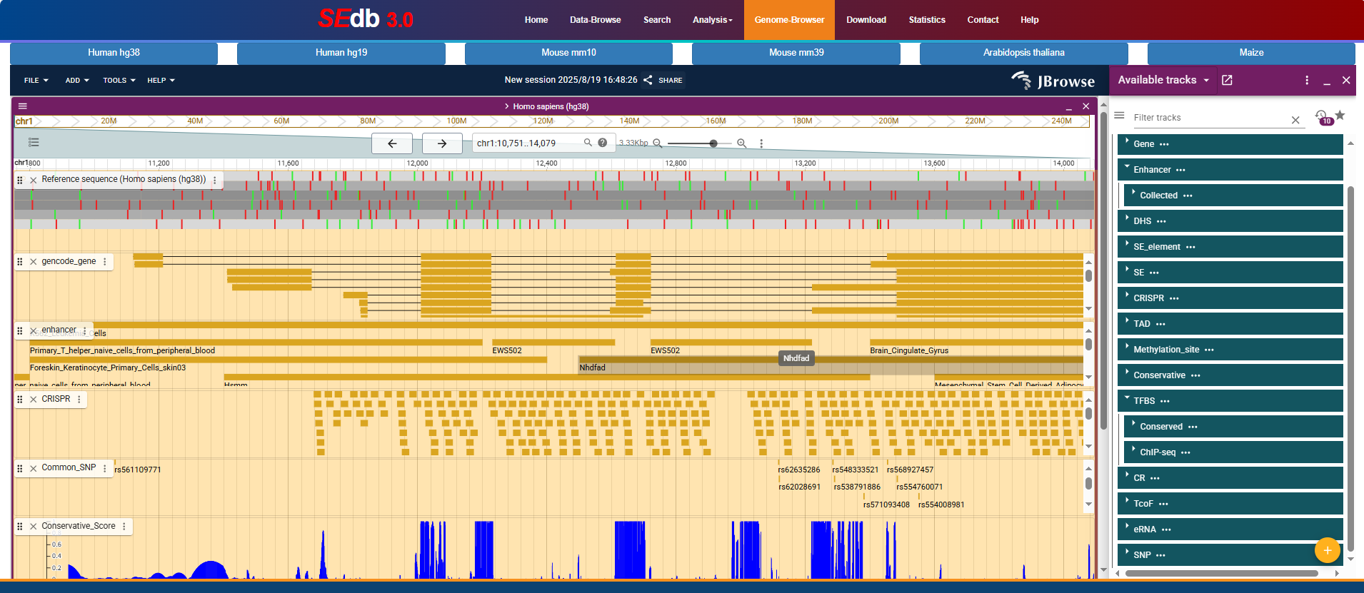 Genome-Browser